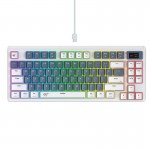 Teclado HAVIT Gamer KB 884L