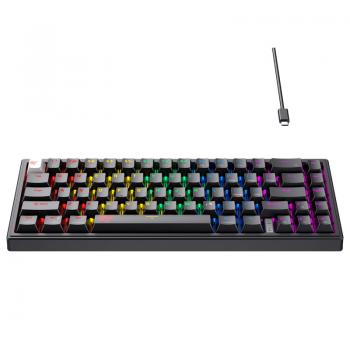 Teclado HAVIT Gamer KB874L Mecánico